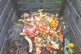 Worm Castings Vs Compost