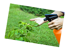 Aerating vermicompost on plants