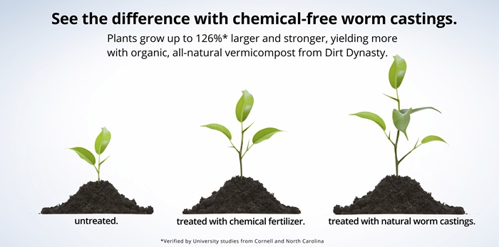 Image of A plant that has been fertilized with vermicompost